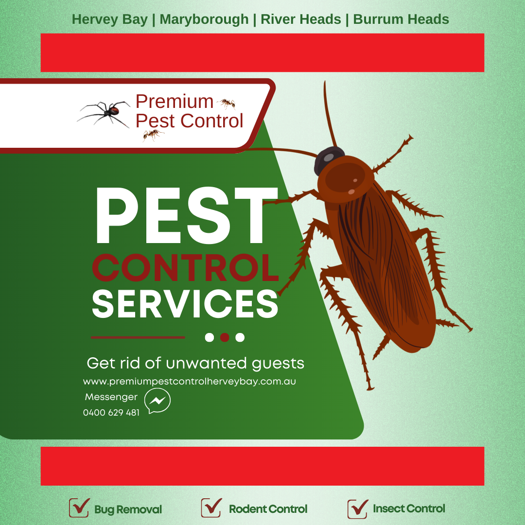 Premium Pest and Termites Hervey Bay Facebook ad