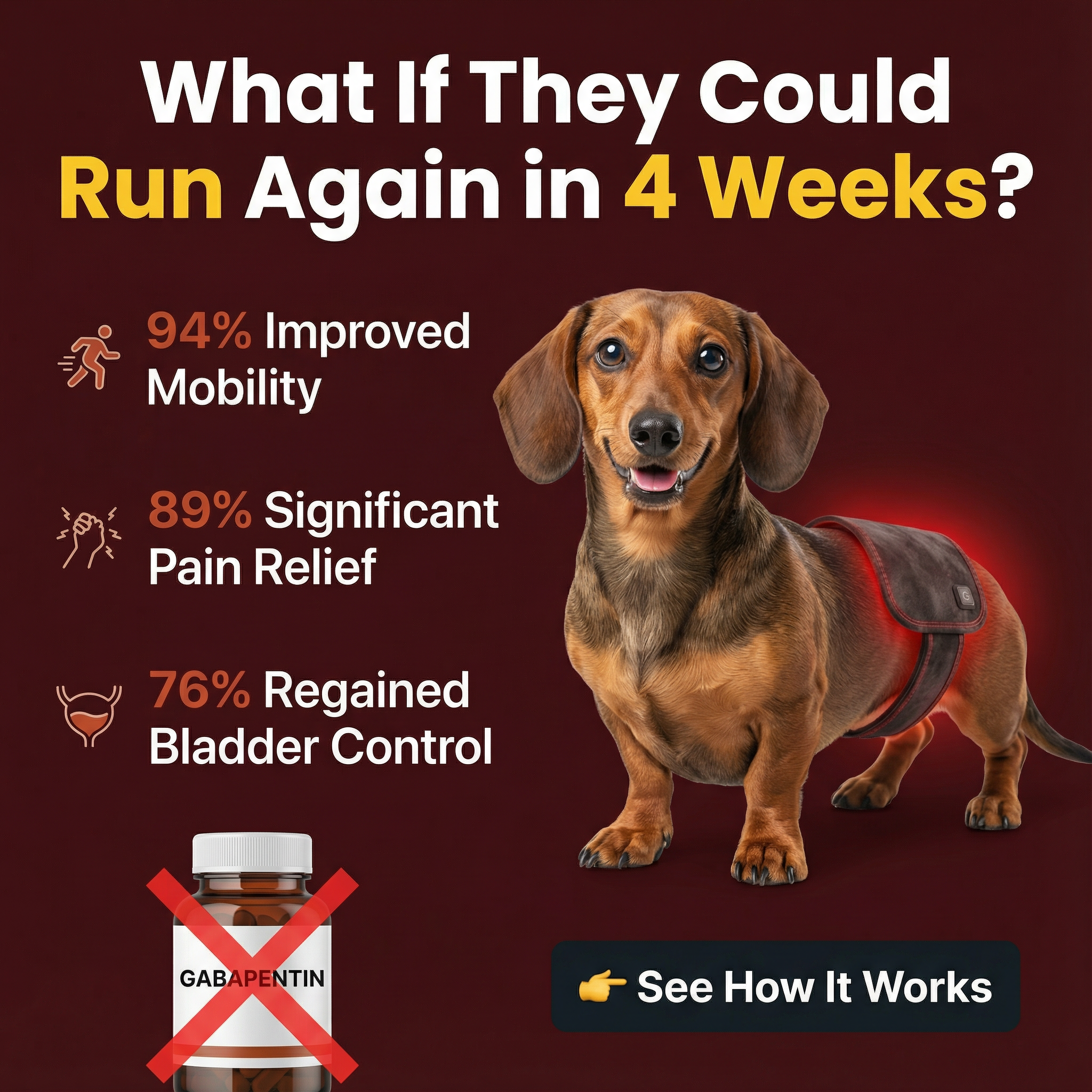 Amy's Dog Diary Facebook ad: Try PetGlow Risk-Free Today