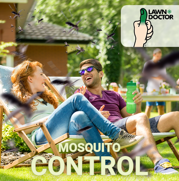 Lawn Doctor of Wilmington and Brunswick Facebook ad
