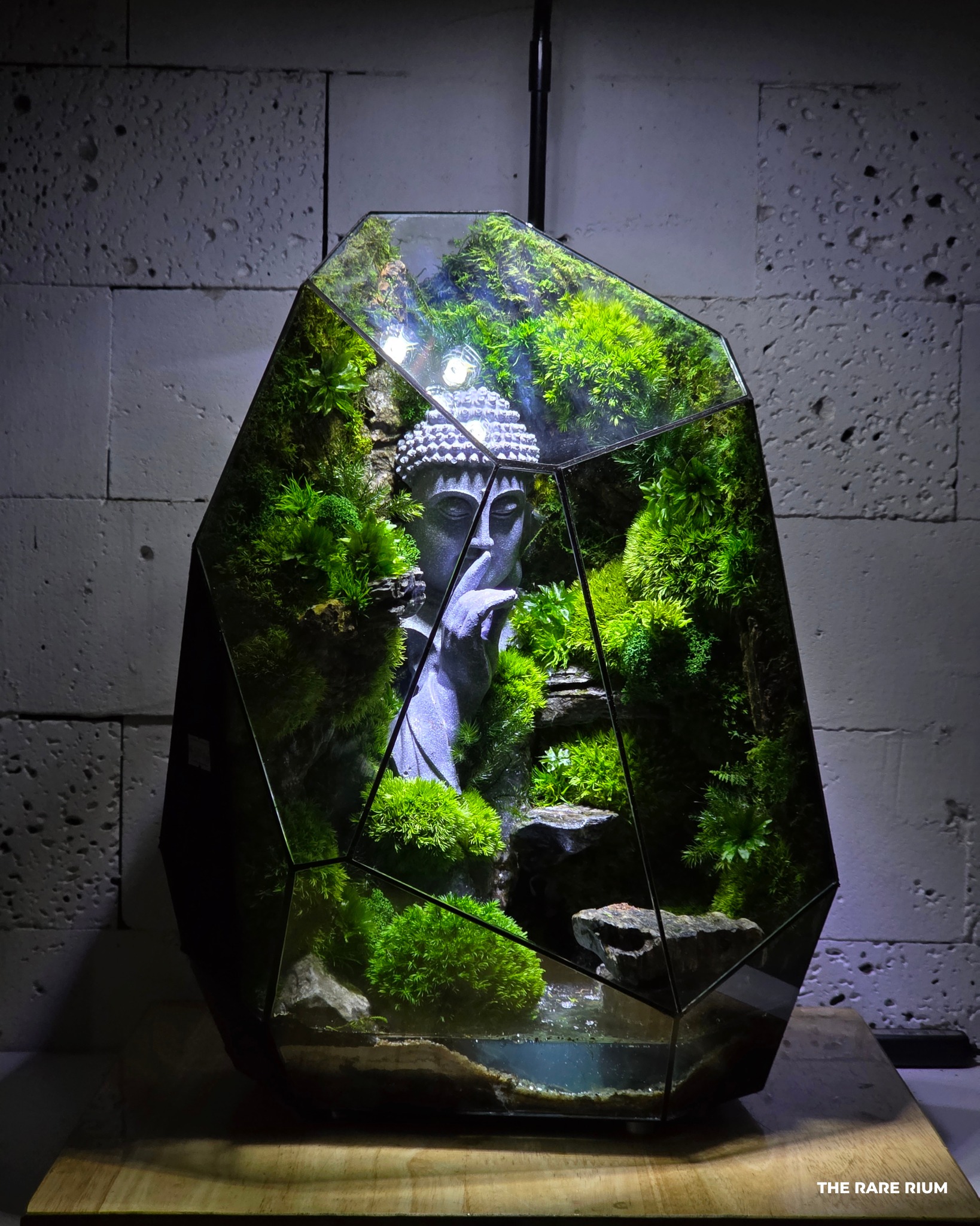 The Rare Rium - Plant & Moss Art Facebook ad