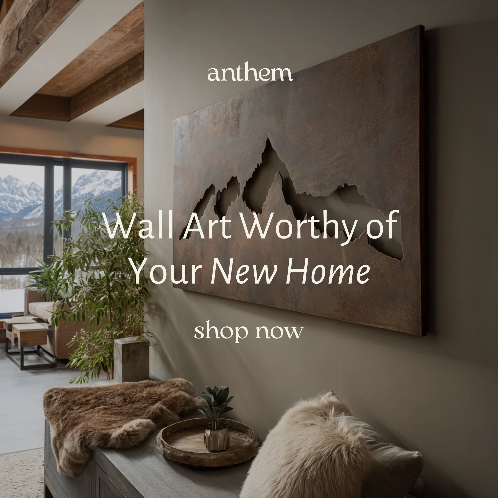 Anthem Classic Facebook ad