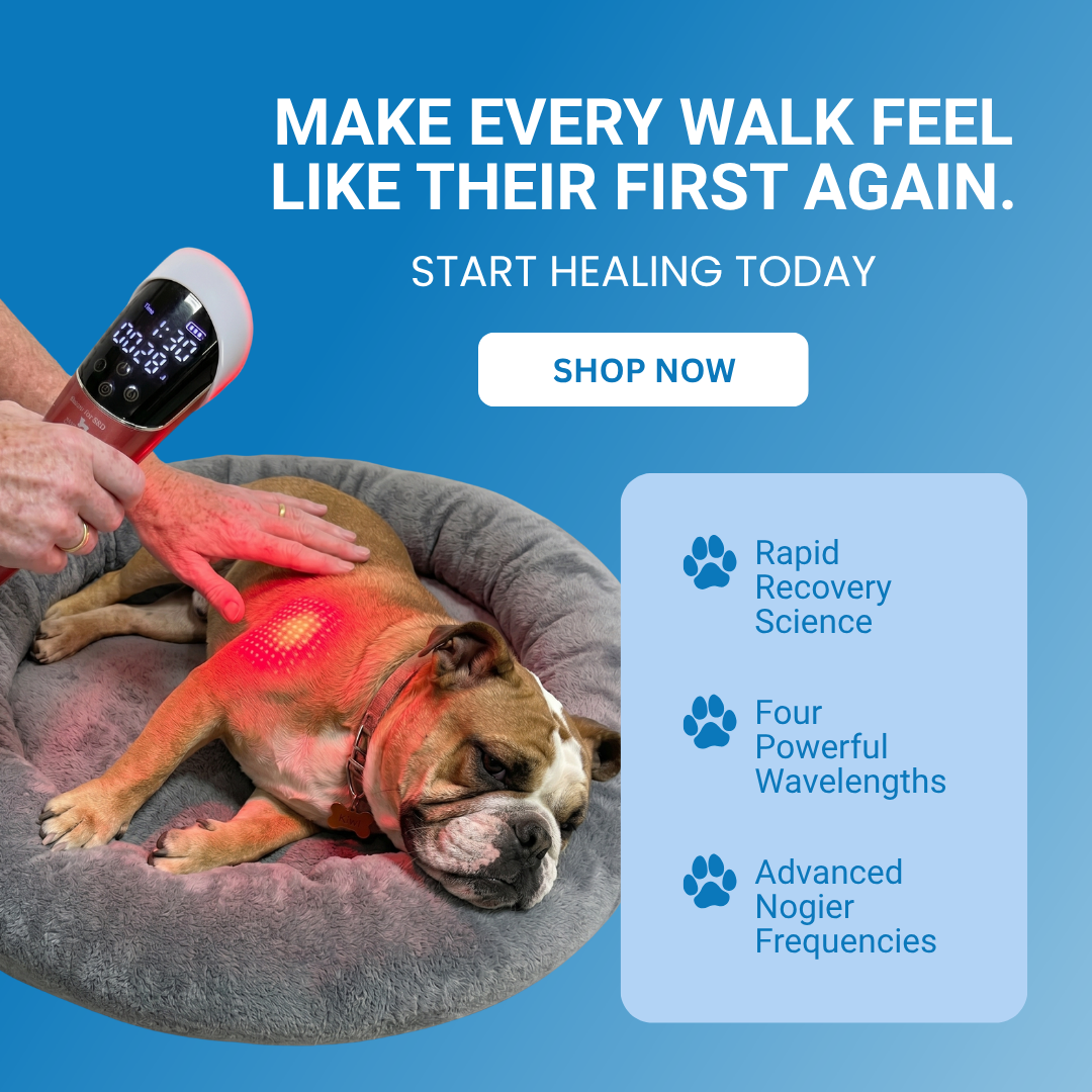 Photonic Health Facebook ad: Advanced Light Therapy for Dogs, Cats & Horses