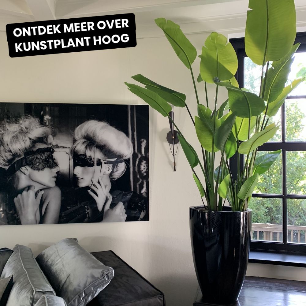 Orboto Facebook ad