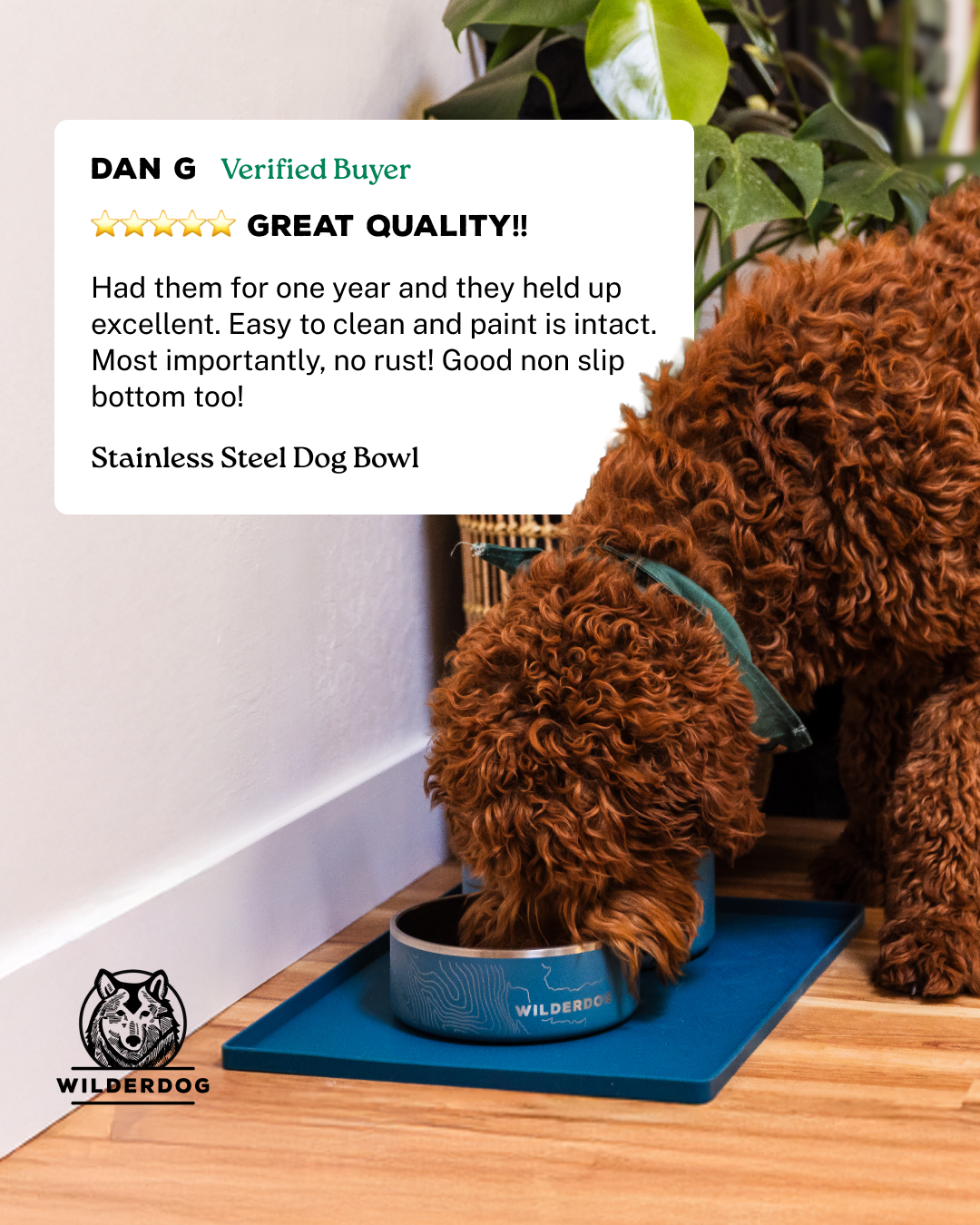Wilderdog Facebook ad