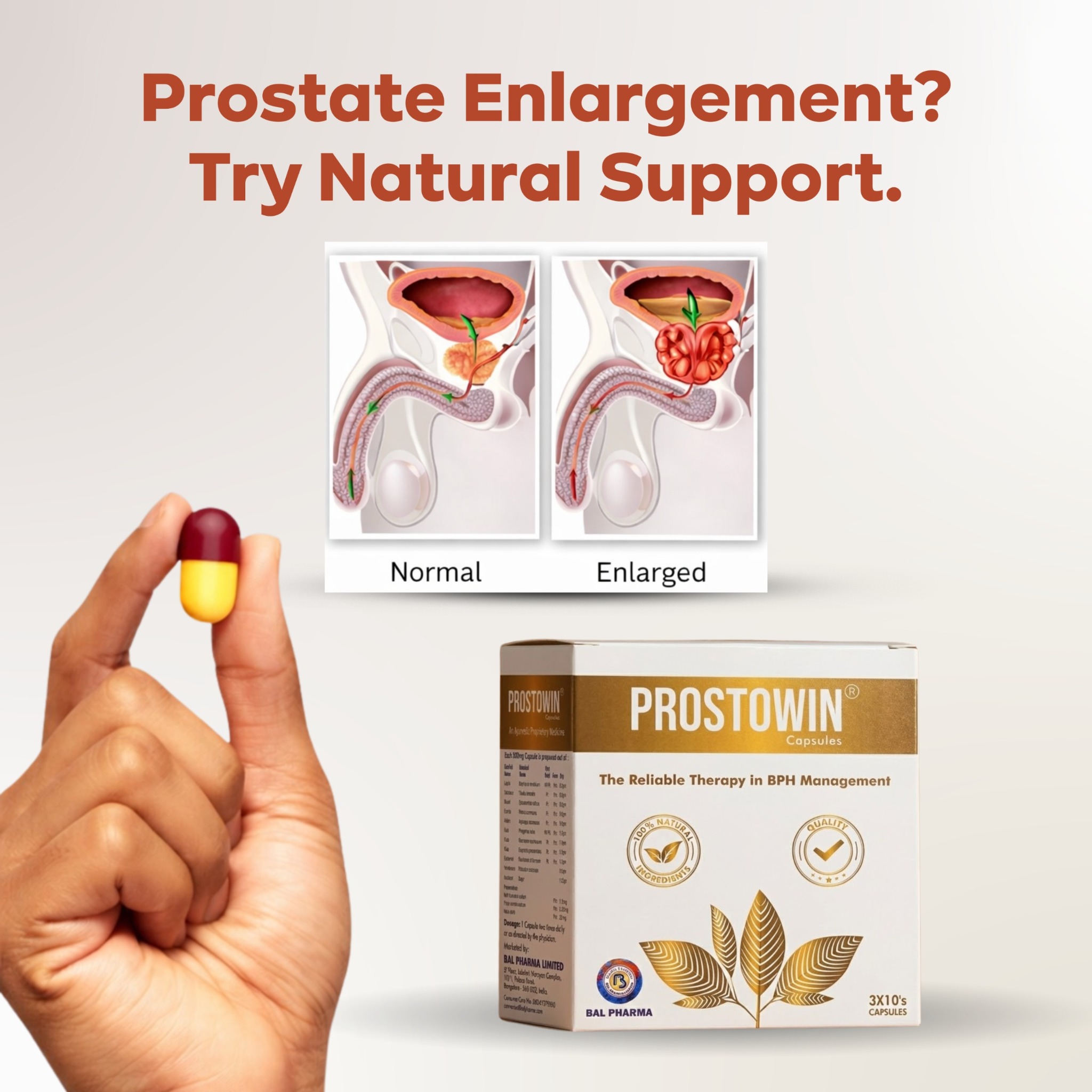 Lifezen Healthcare Facebook ad: Gentle Ayurvedic Support for Prostate