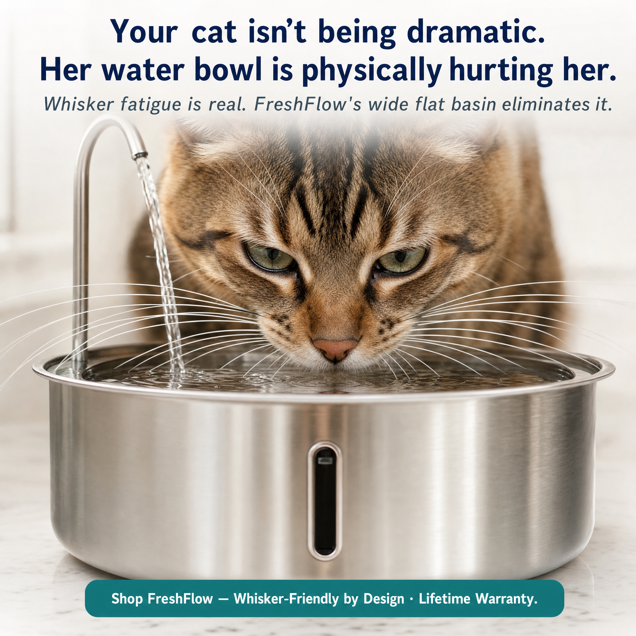 Rhykin Pet Co Facebook ad