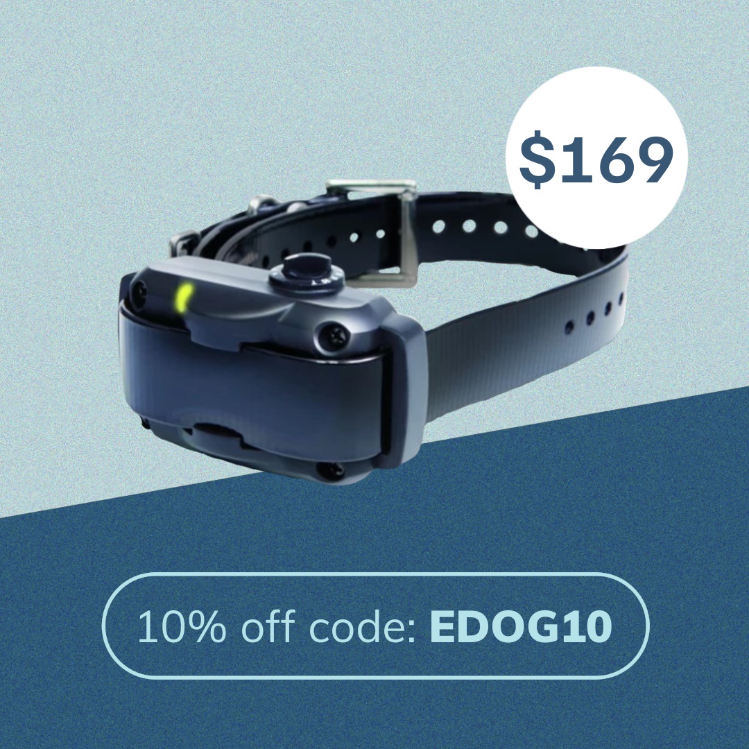 eDog Facebook ad: 10% off code: EDOG10