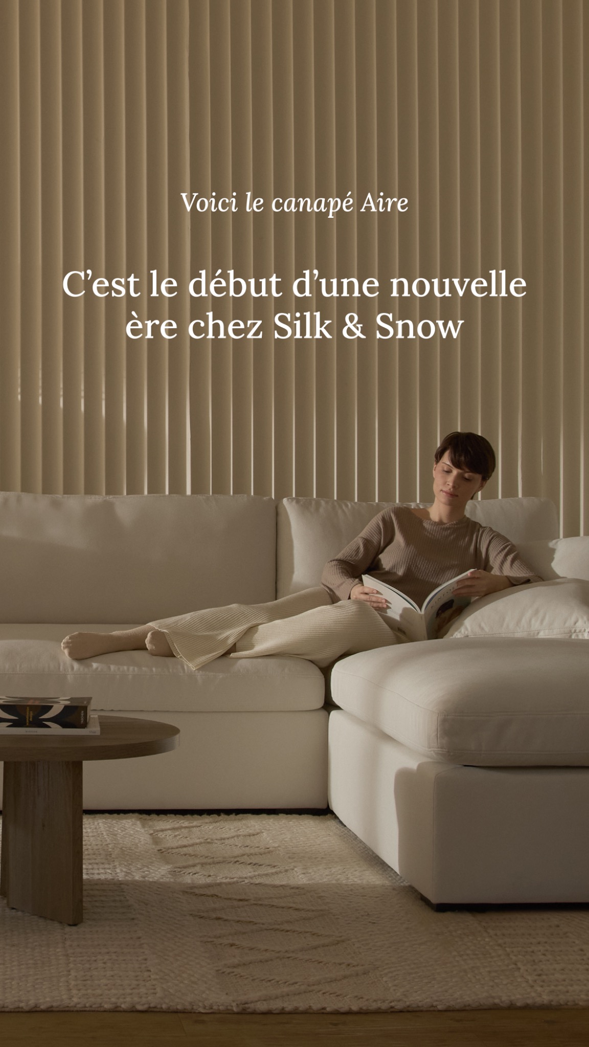 Maison Silk & Snow Facebook ad