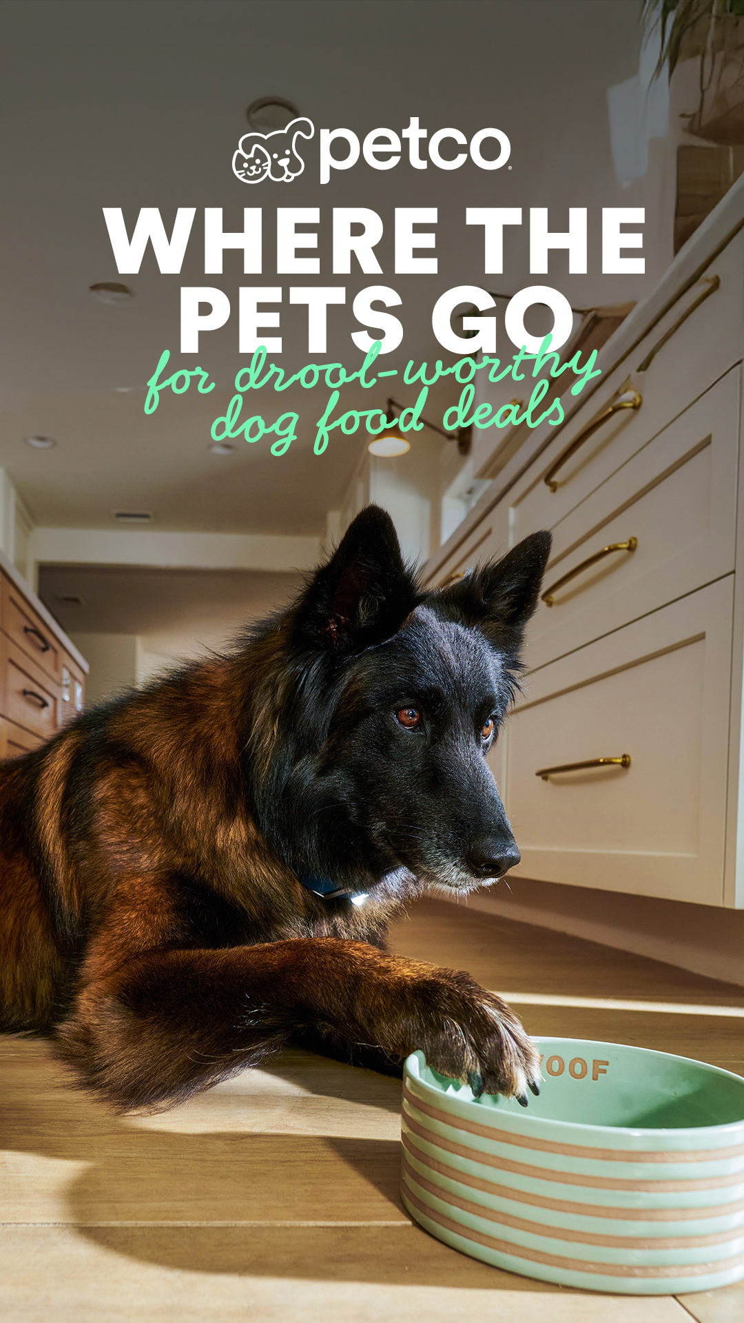 Petco Facebook ad