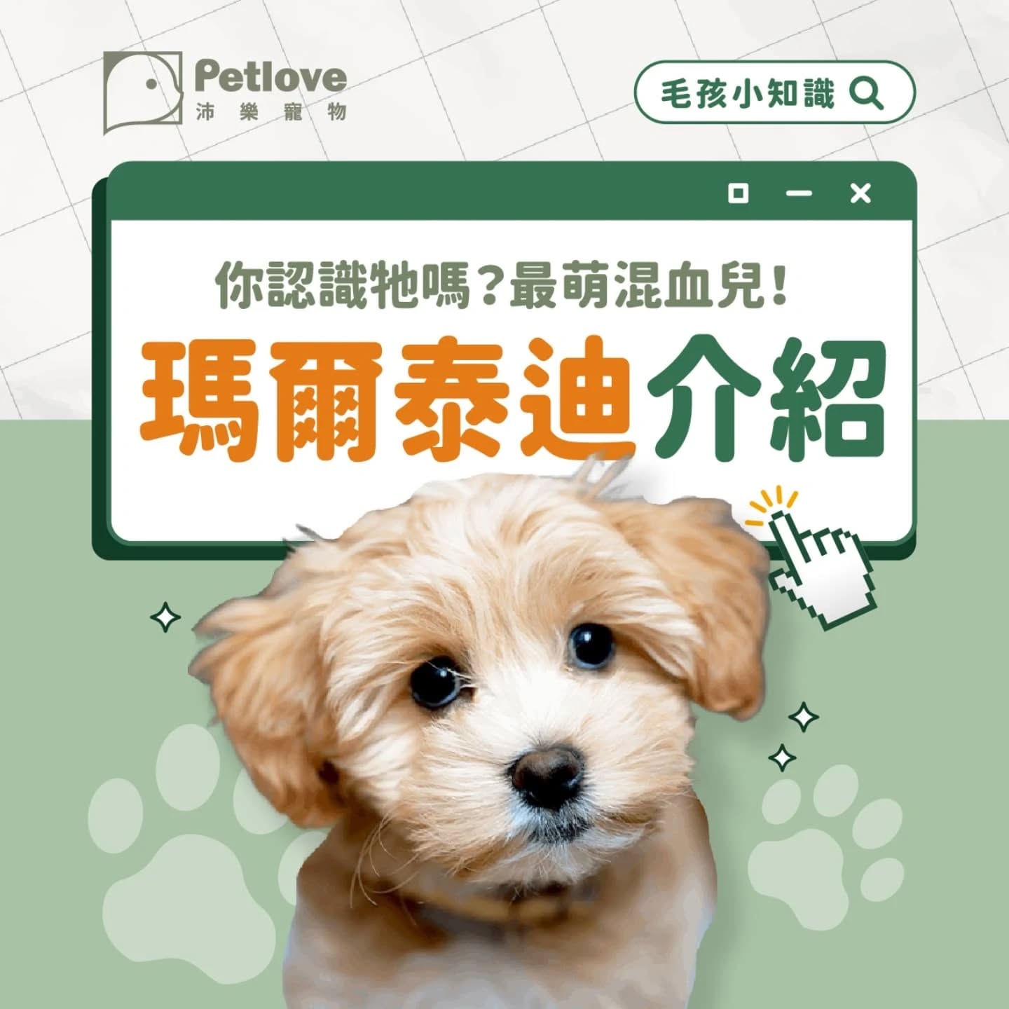 Petlove沛樂寵物 Facebook ad