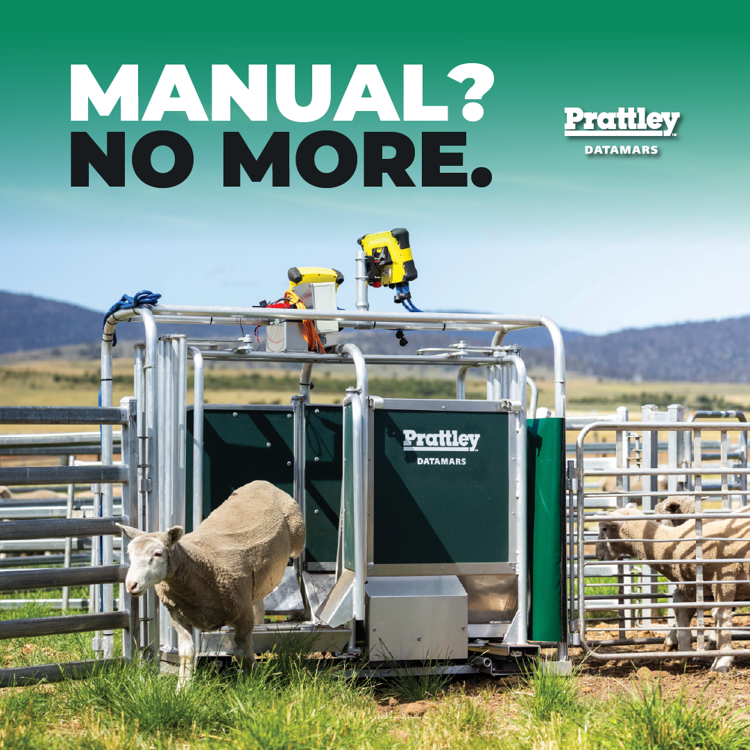 Datamars Livestock AU Facebook ad: Less hands