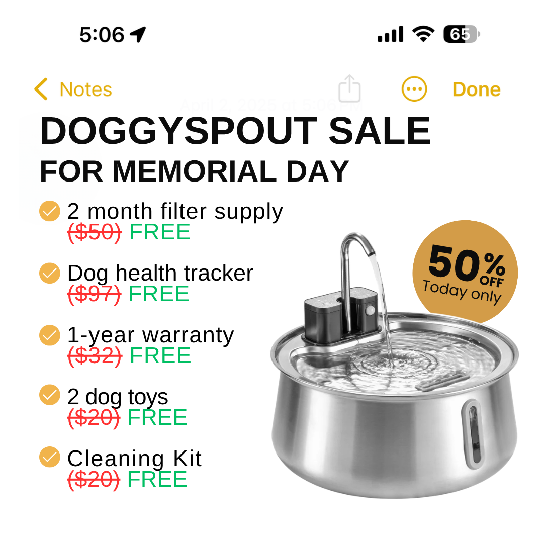 DoggySpout Facebook ad