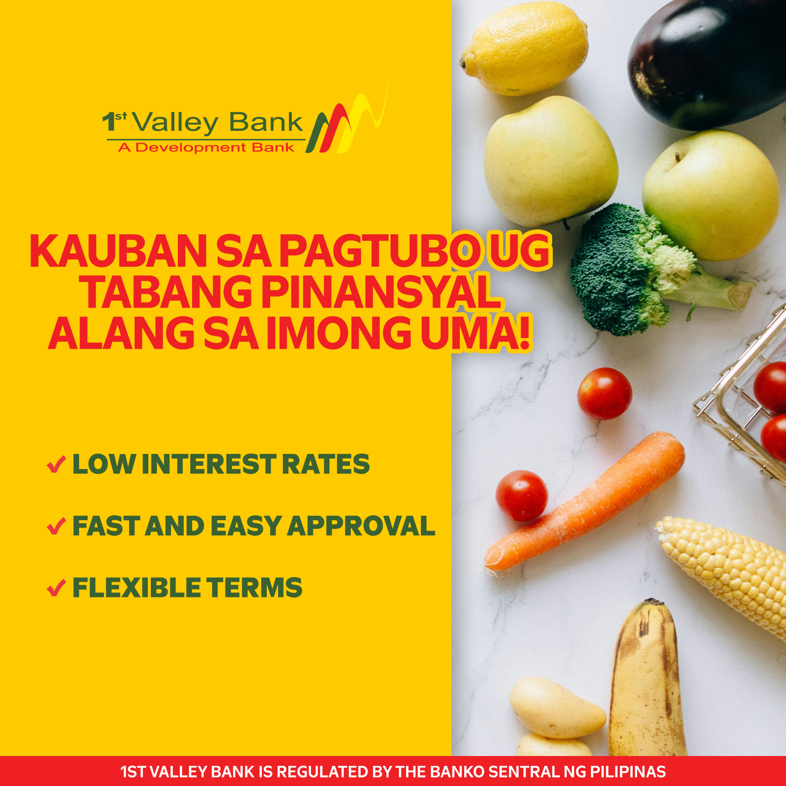 1st Valley Bank, Inc. Facebook ad