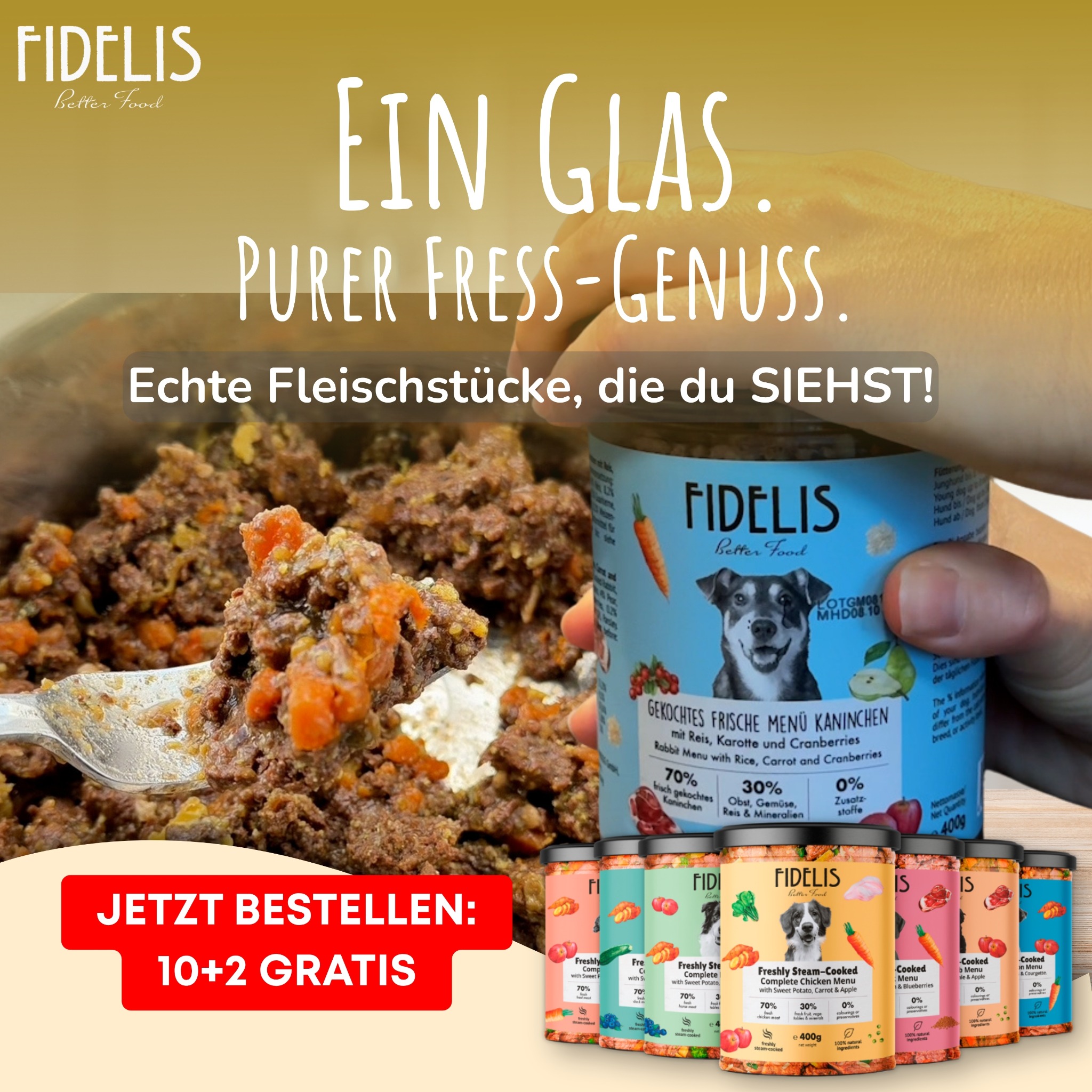 Fidelis.dog Facebook ad