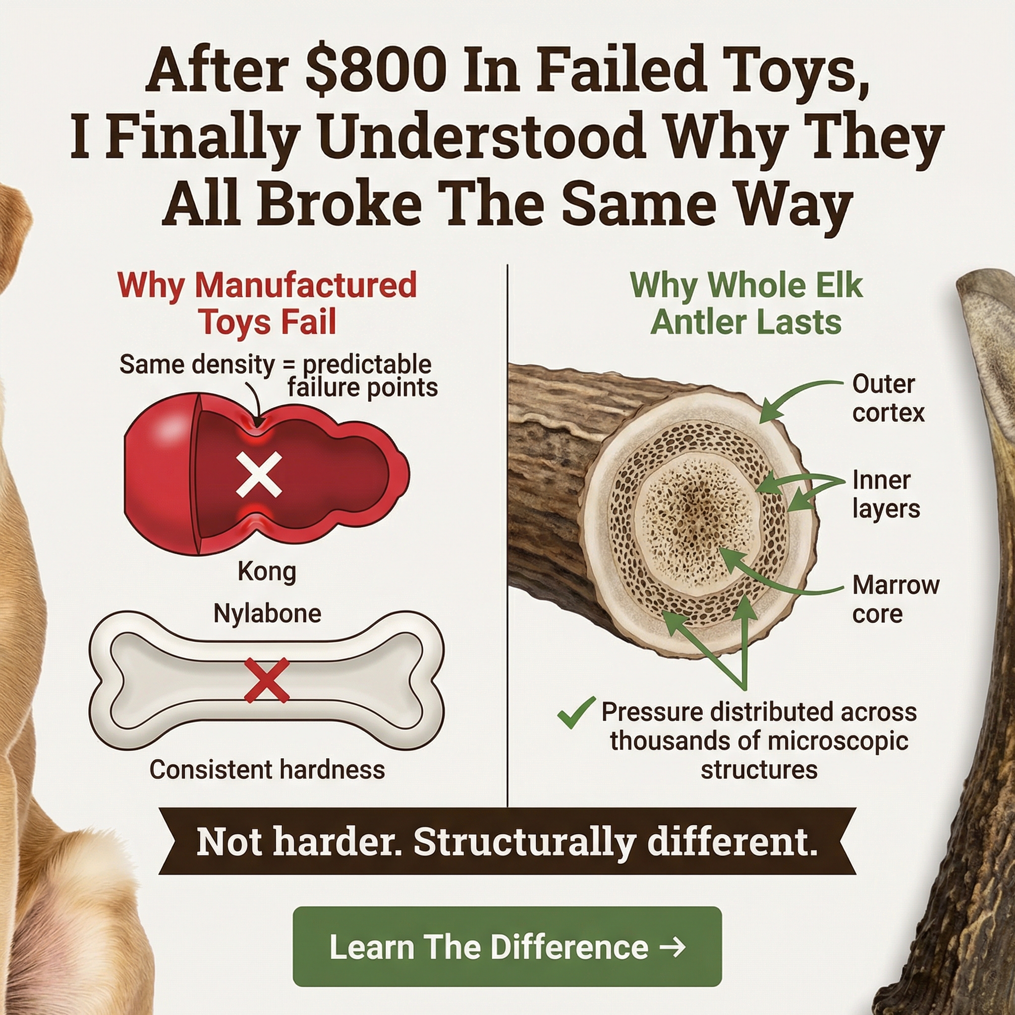 Heartland Antlers Facebook ad
