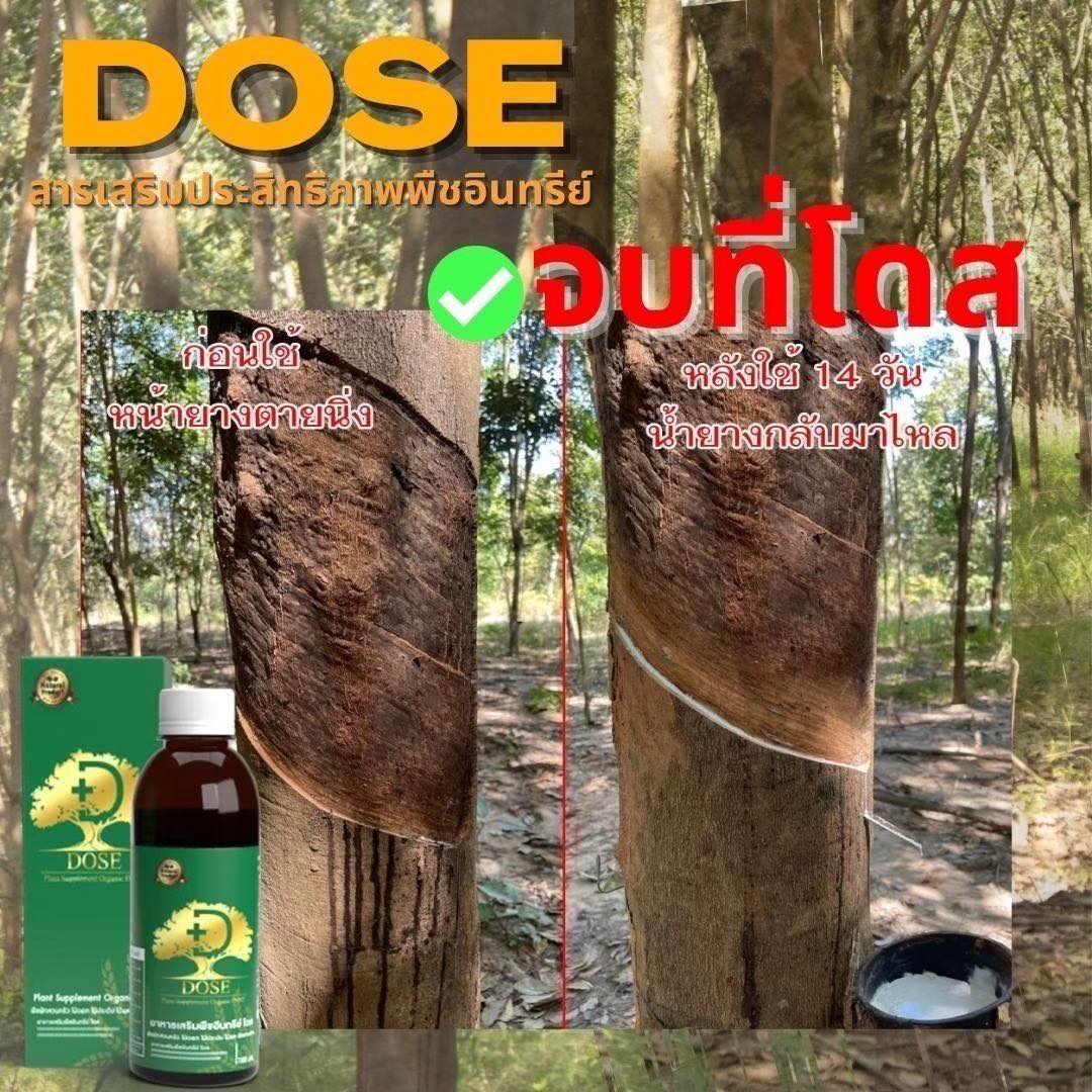 Dose Co2 โดส ซีโอทู แก้เชื้อรา หน้ายางตาย Facebook ad: หน้ายางตายนึ่ง? DOSE จัดการให้!