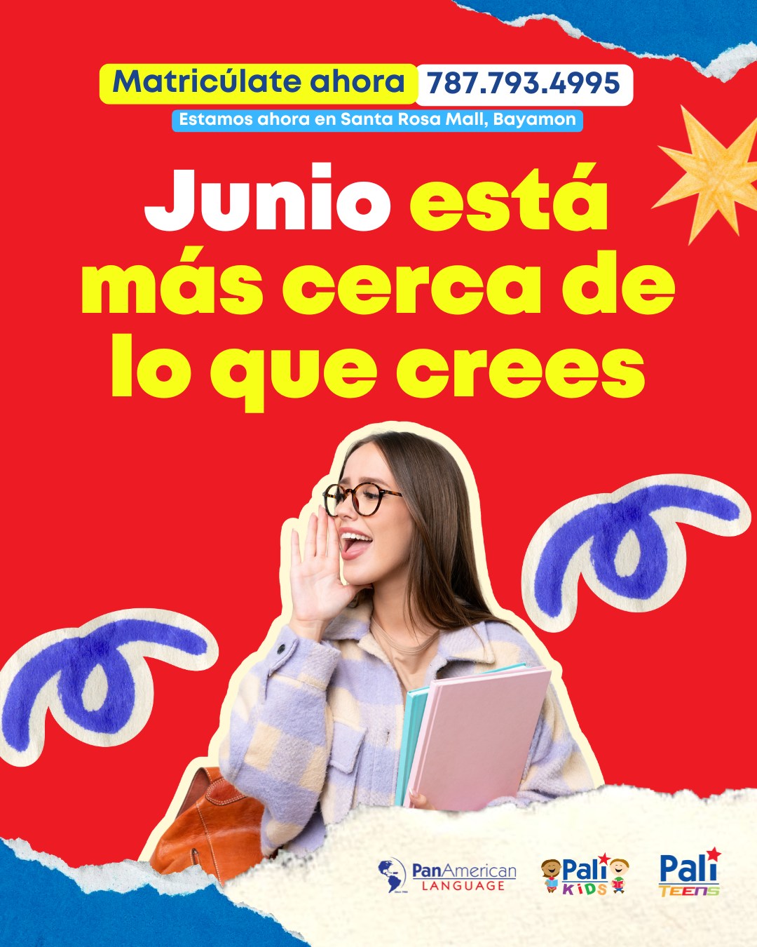 PanAmerican Language Facebook ad