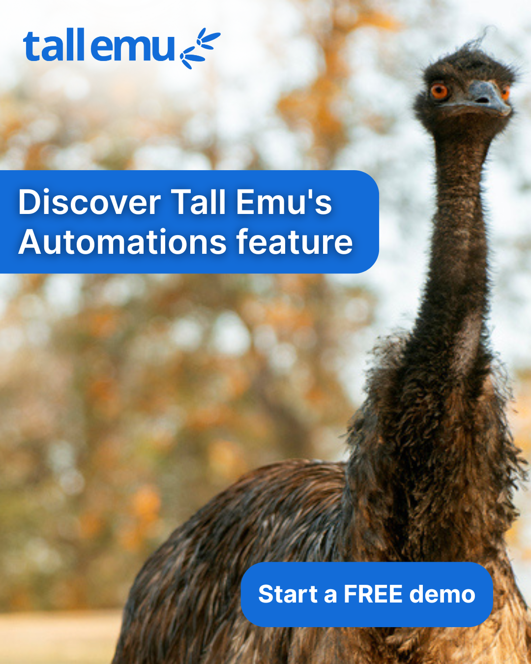 Tall Emu CRM Facebook ad