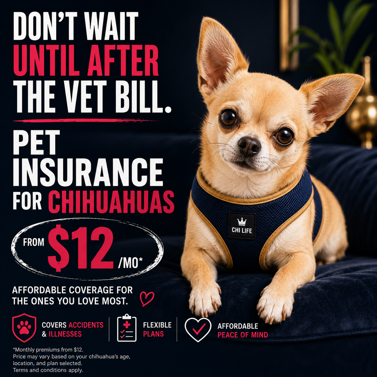 All Pets Covered Facebook ad