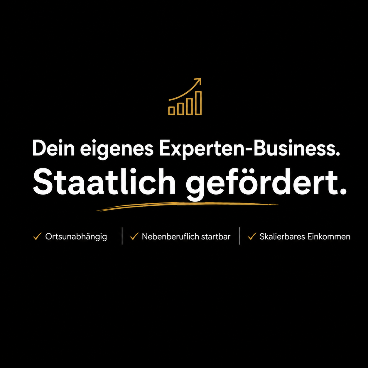 Hans Schneider Facebook ad