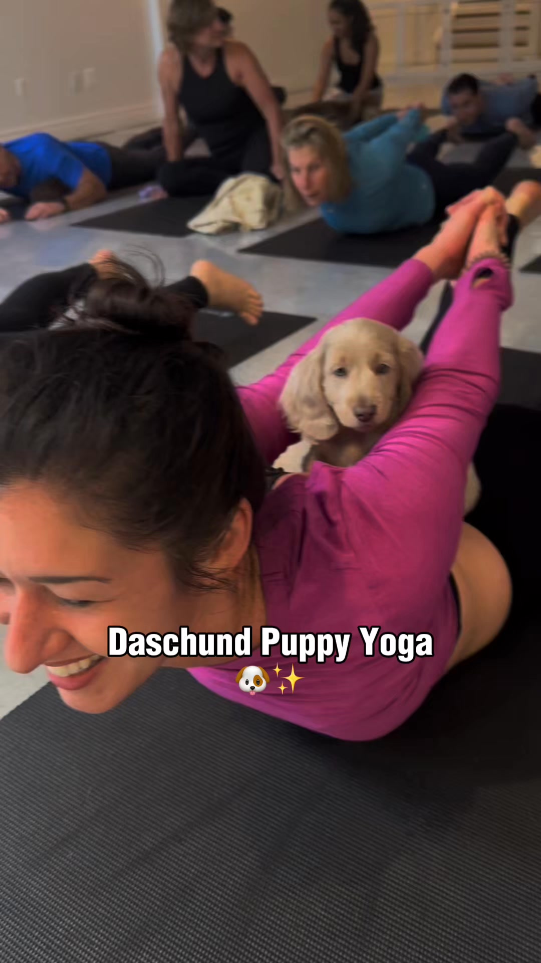Puppies&Yoga Nashville Facebook ad: Book your class now!