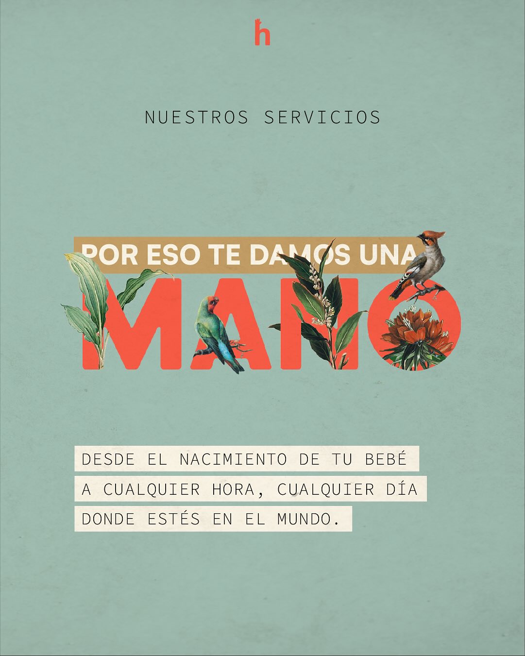 HAND Facebook ad: NUESTROS SERVICIOS