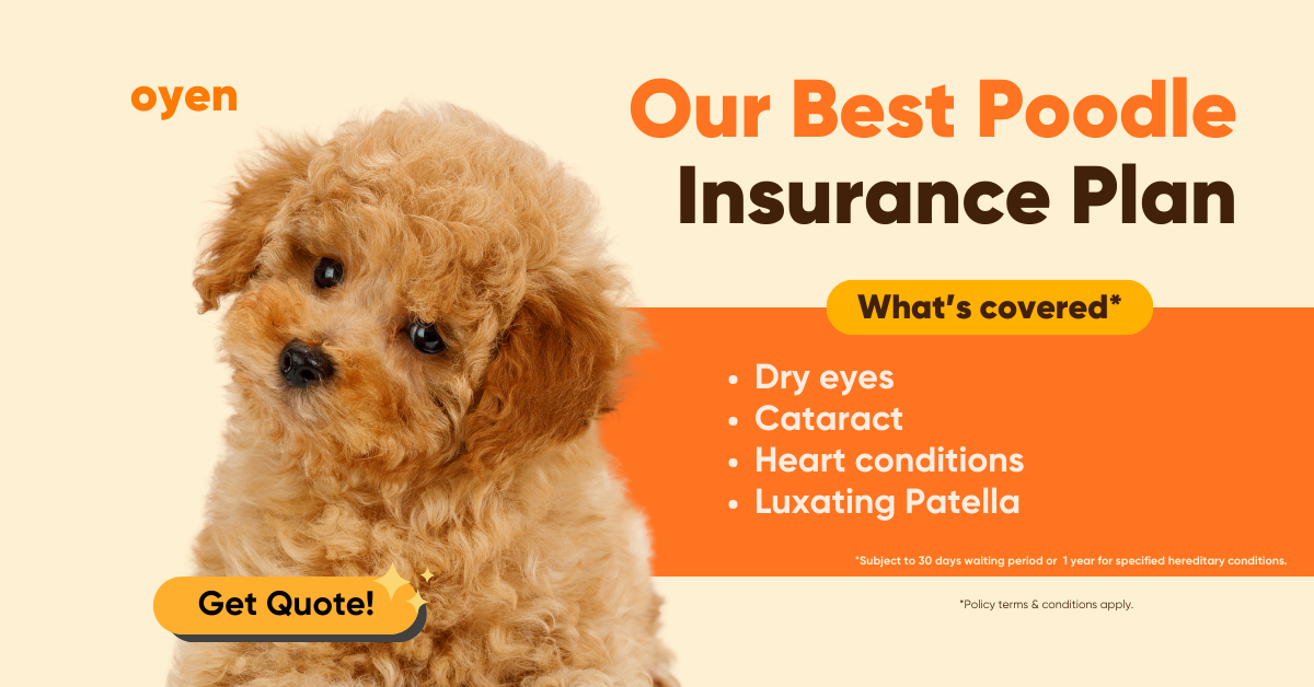 Oyen Pet Insurance & Takaful Kucing Facebook ad