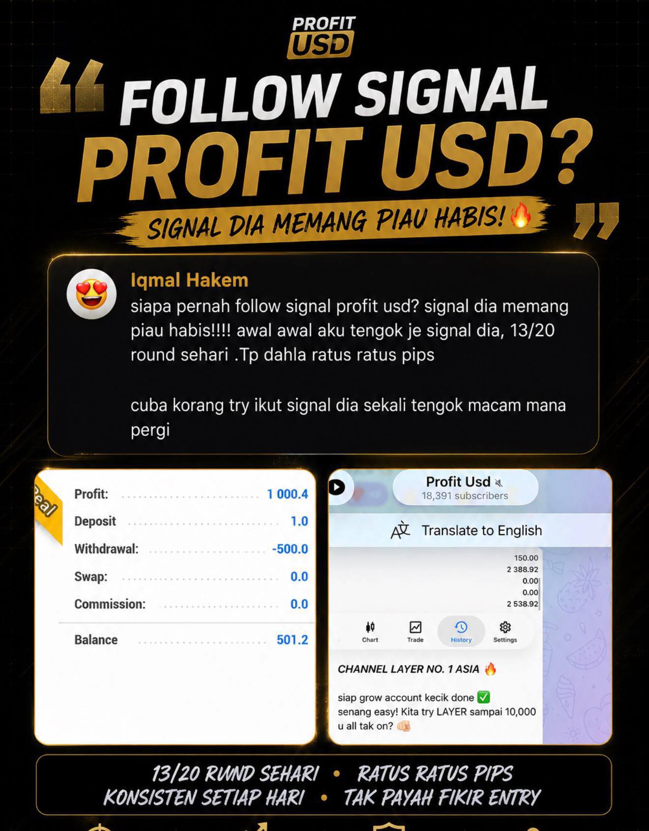 Profit Usd Facebook ad: Signal dia memang piau habis!