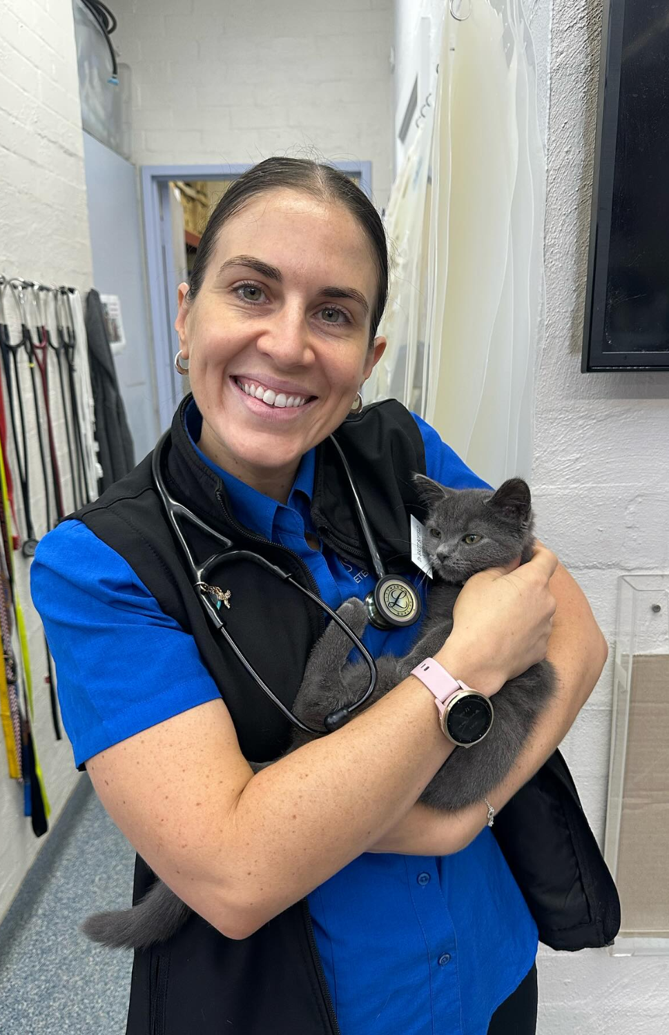 North Valley Animal Rescue Facebook ad