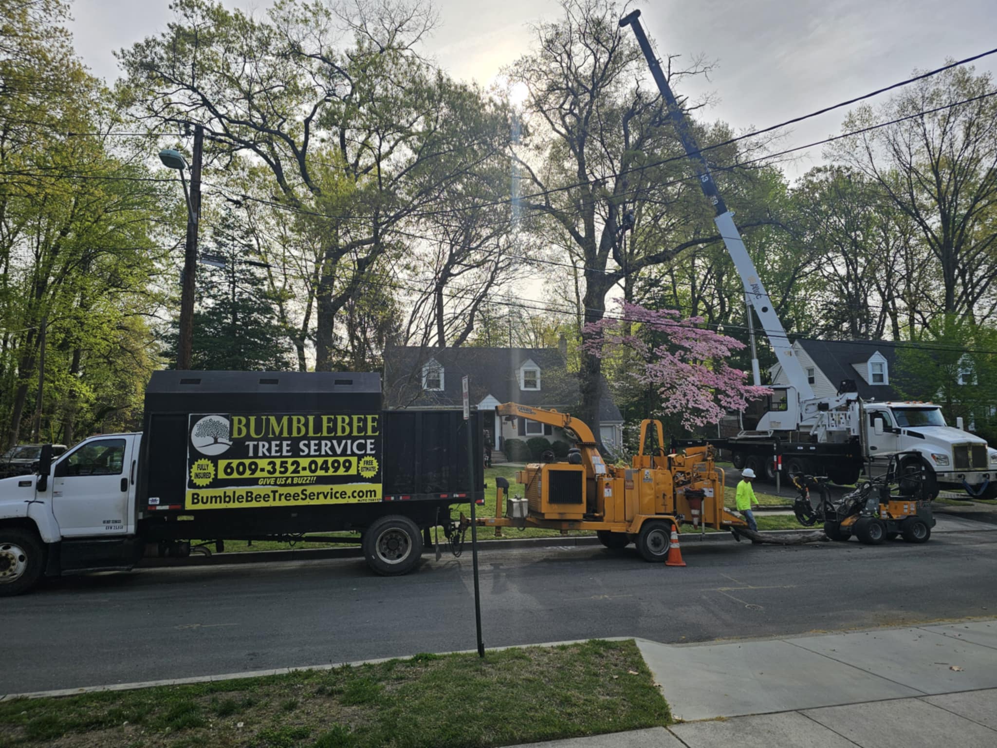 Bumblebee Tree Service Facebook ad: New Jersey's Trusted Tree Crew, Fast. Fair. Clean.