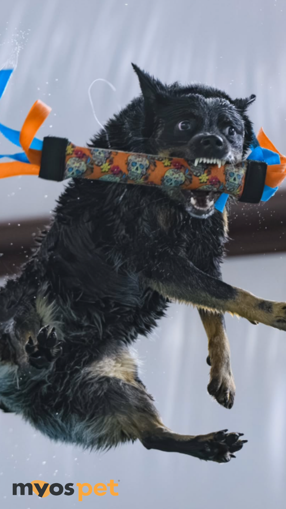 Myos Pet Products Facebook ad