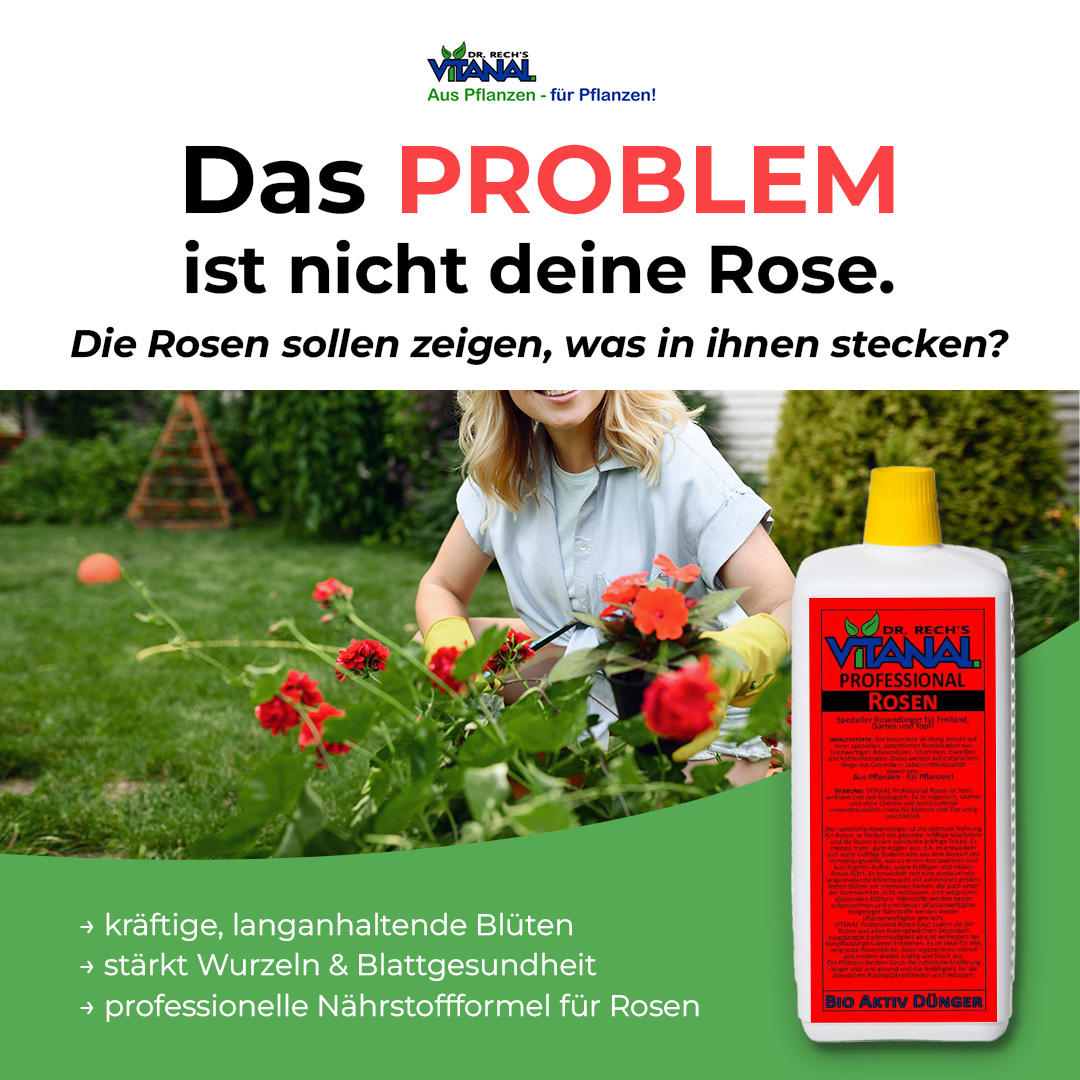 Dr. Rech's Vitanal GmbH Facebook ad