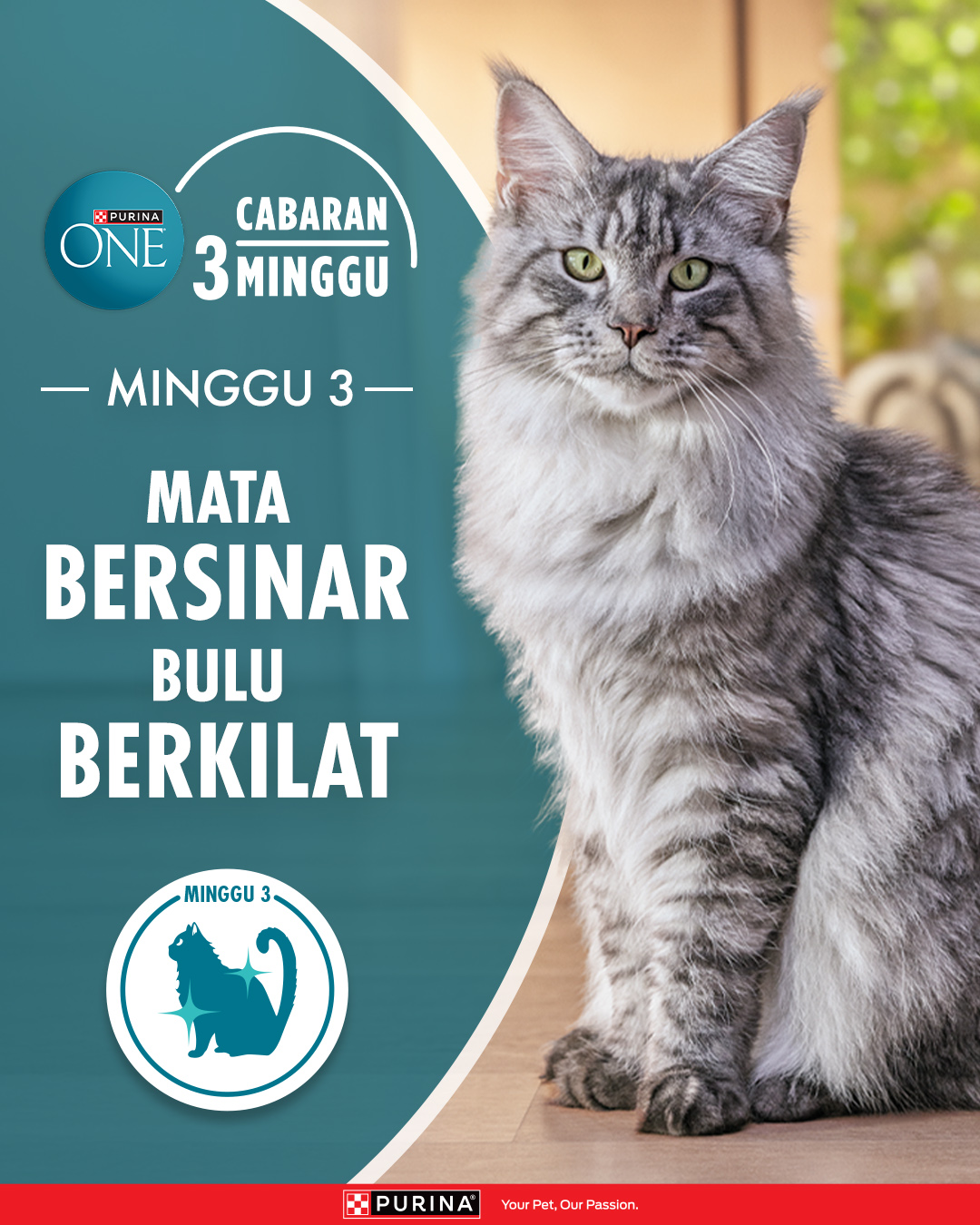 Purina Malaysia Facebook ad: Mata Bersinar, Bulu Berkilat
