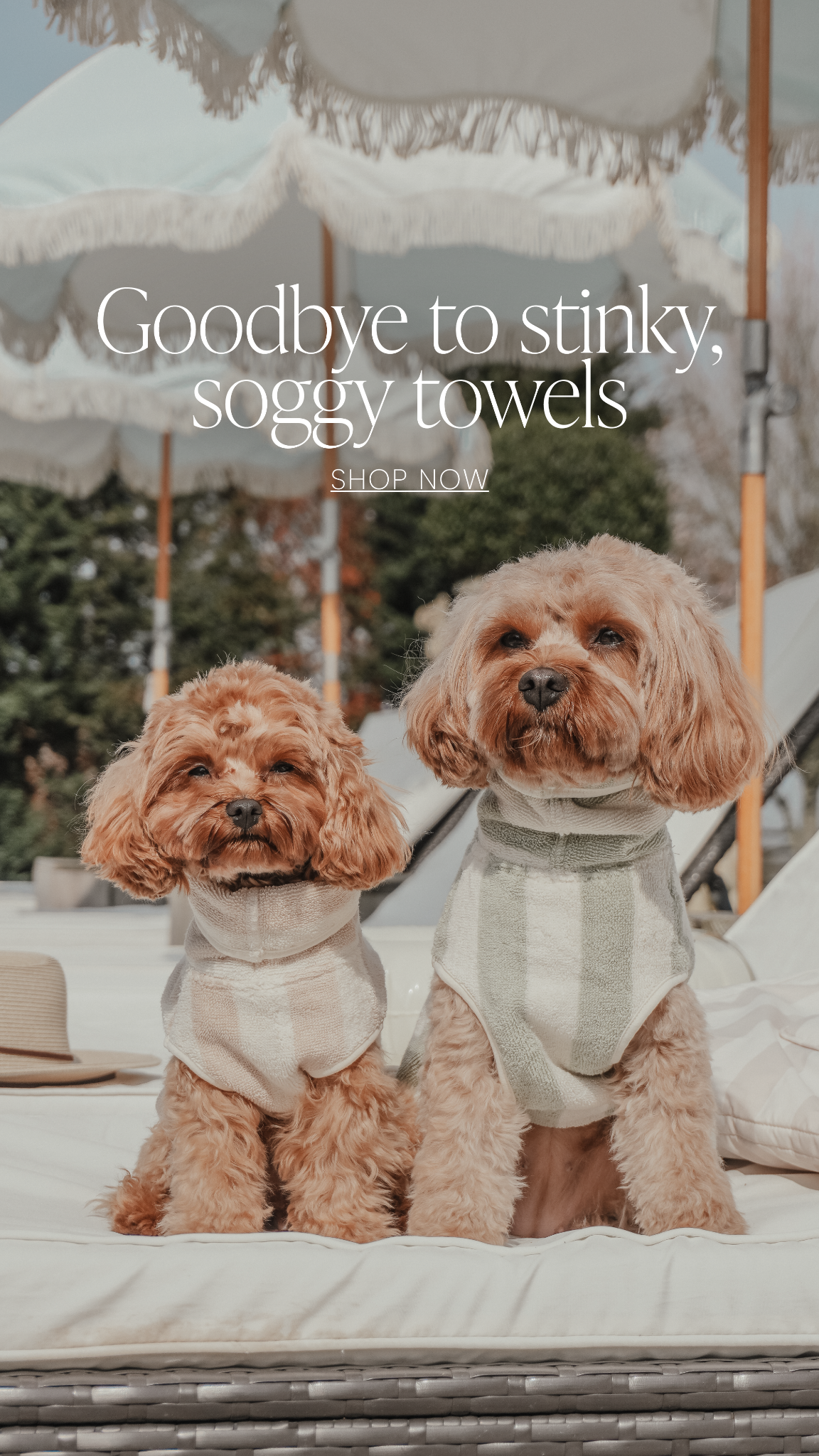 By Teddy Facebook ad