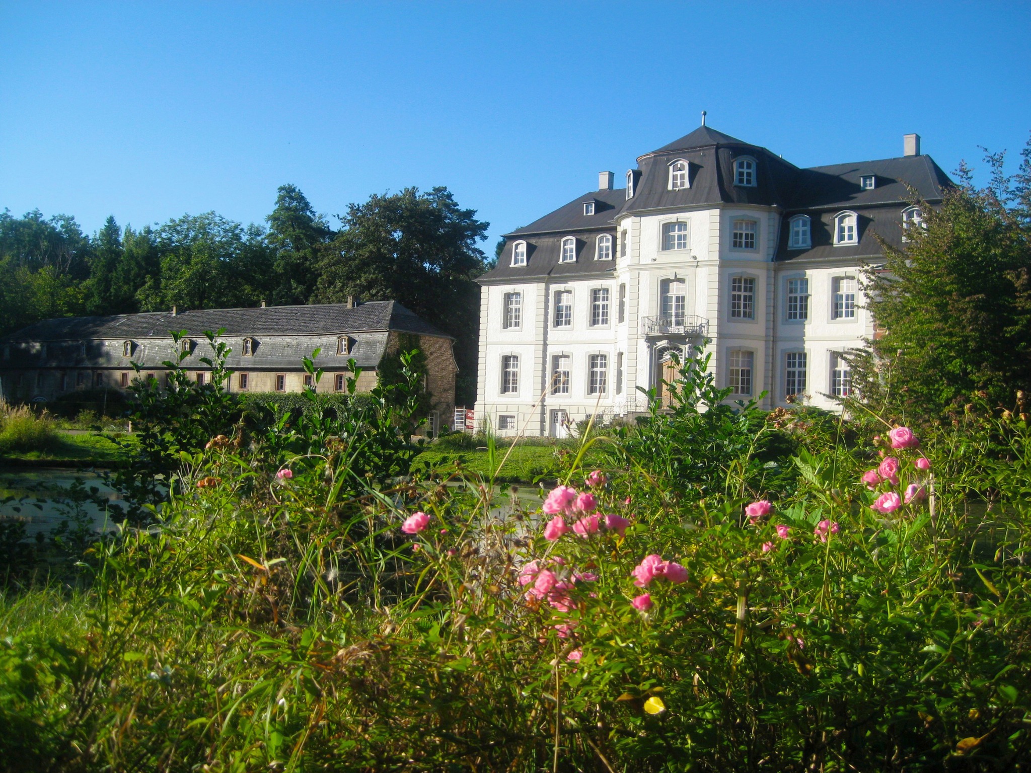Biogartenmesse Facebook ad: BIOGARTENMESSE auf Schloß Türnich, Kerpen bei Köln