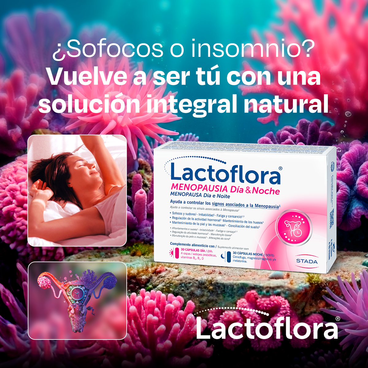 Lactoflora Facebook ad