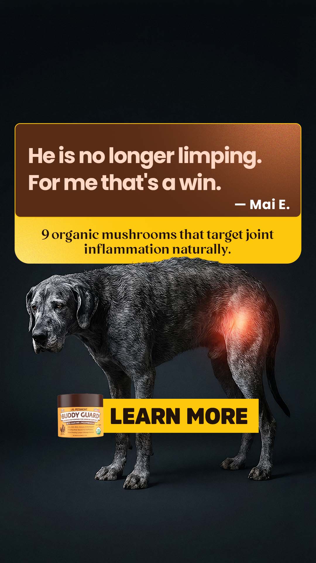 Well Pup Life Facebook ad
