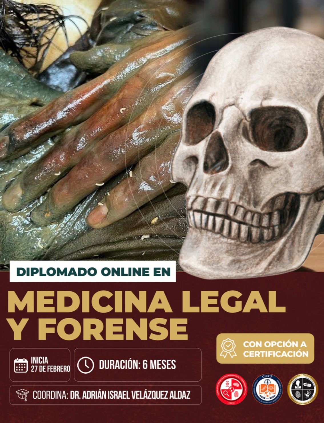 𝐂𝐨𝐥𝐞𝐠𝐢𝐨 𝐈𝐧𝐭𝐞𝐫𝐧𝐚𝐜𝐢𝐨𝐧𝐚𝐥 𝐝𝐞 𝐂𝐢𝐞𝐧𝐜𝐢𝐚𝐬 𝐂𝐫𝐢𝐦𝐢𝐧𝐨𝐥ó𝐠𝐢𝐜𝐚𝐬 𝐲 𝐅𝐨𝐫𝐞𝐧𝐬𝐞𝐬 Facebook ad