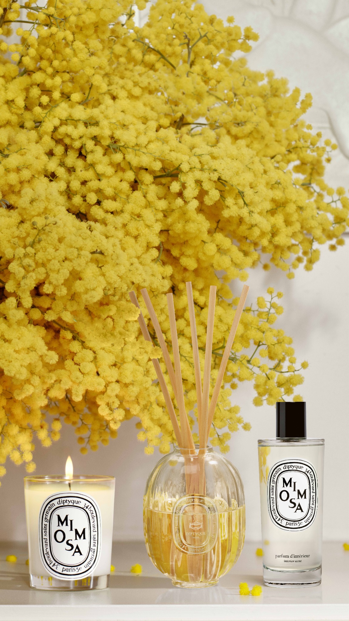diptyque Facebook ad