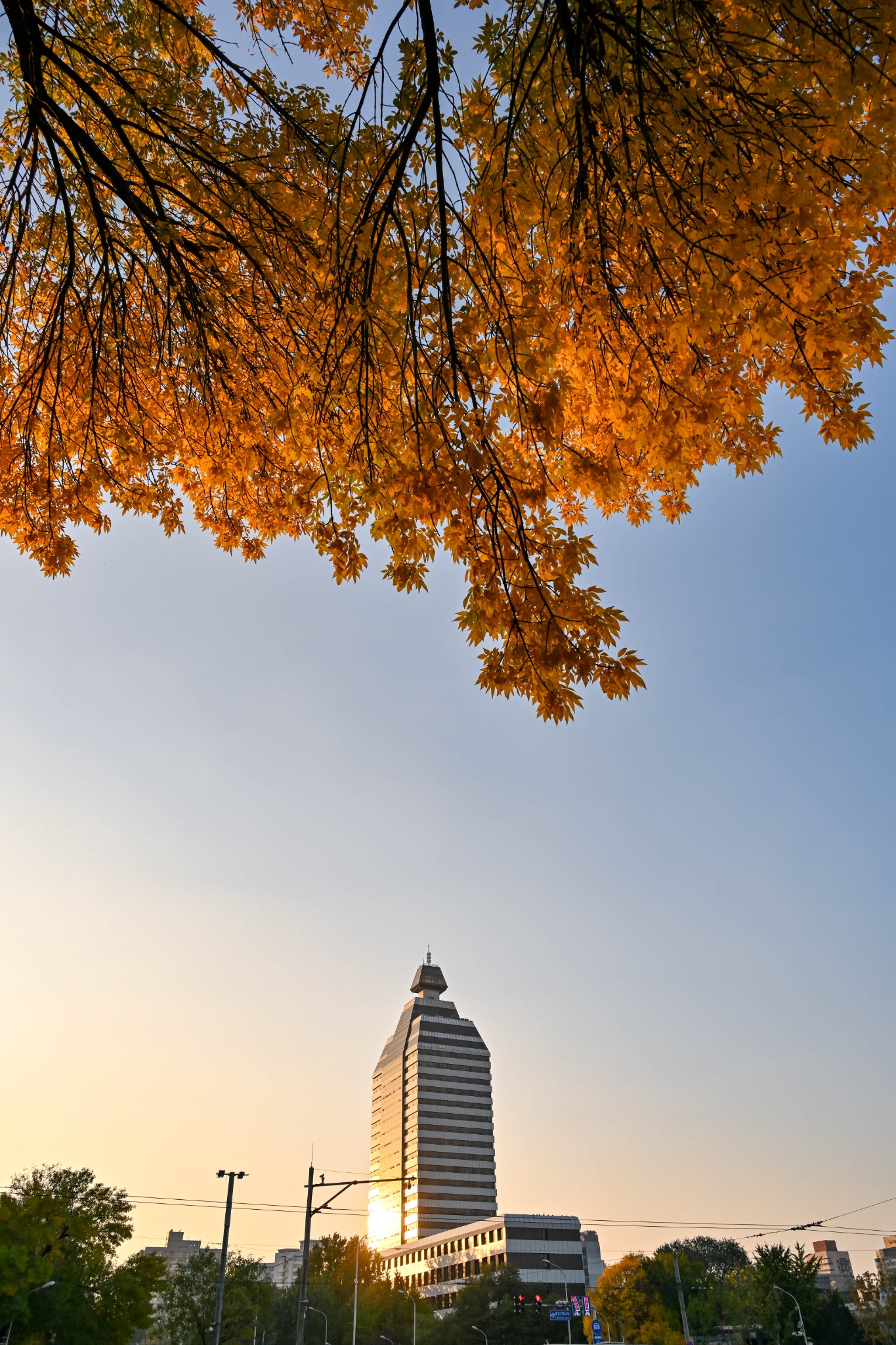 China Xinhua News Facebook ad