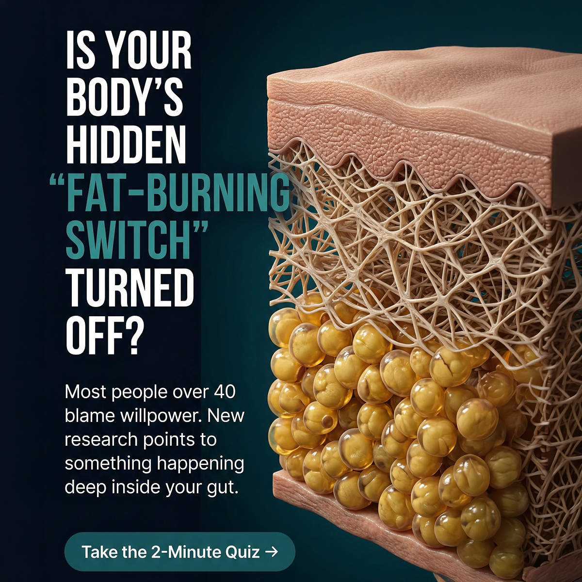 MetaEra Facebook ad: Try A New Approach to Appetite Support Today!