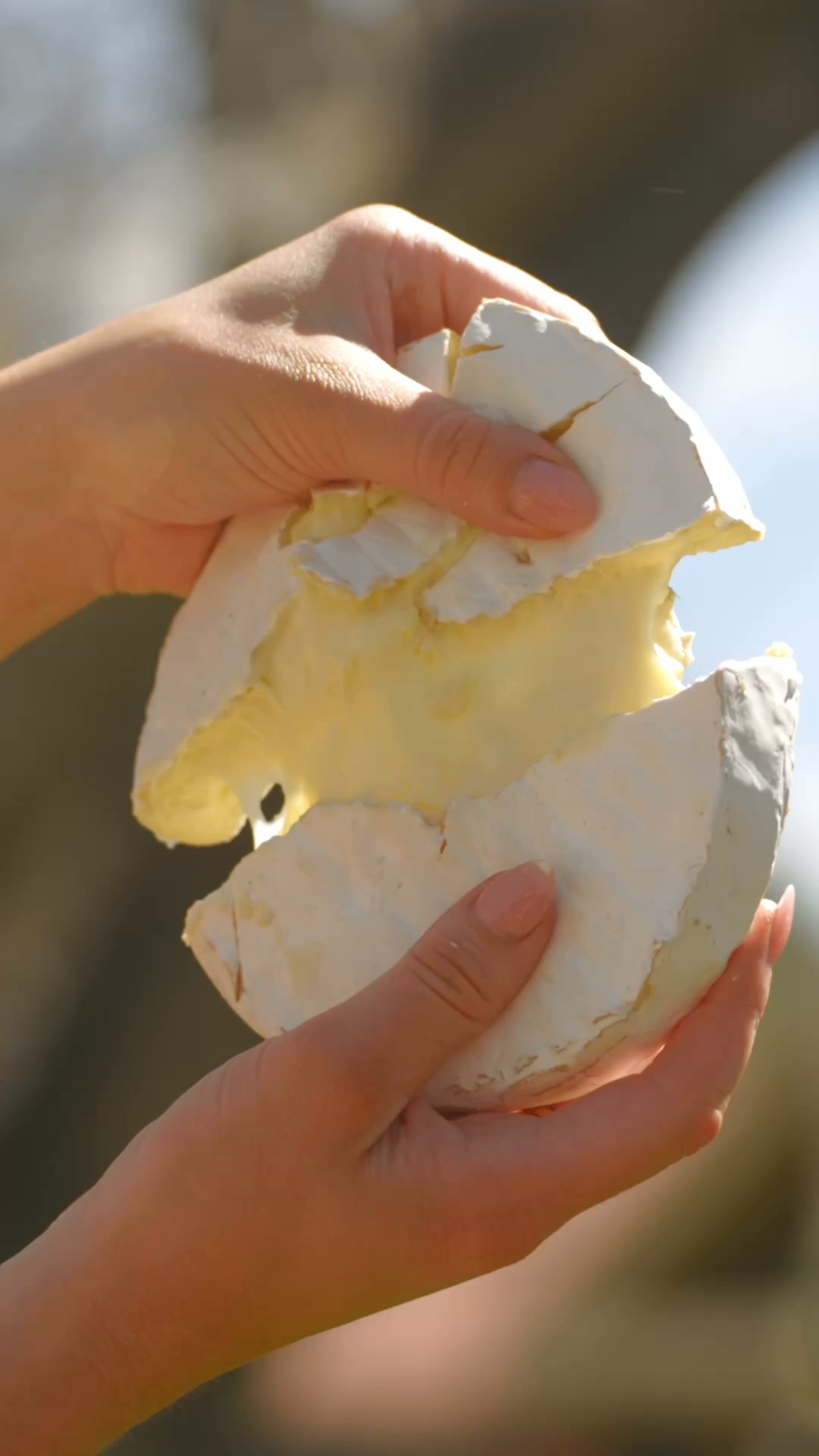 CheeseFest Australia Facebook ad: Your CheeseFest Weekend Awaits!