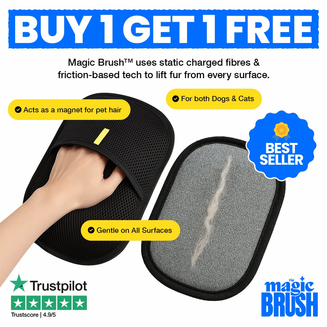 Magic Brush Co Facebook ad