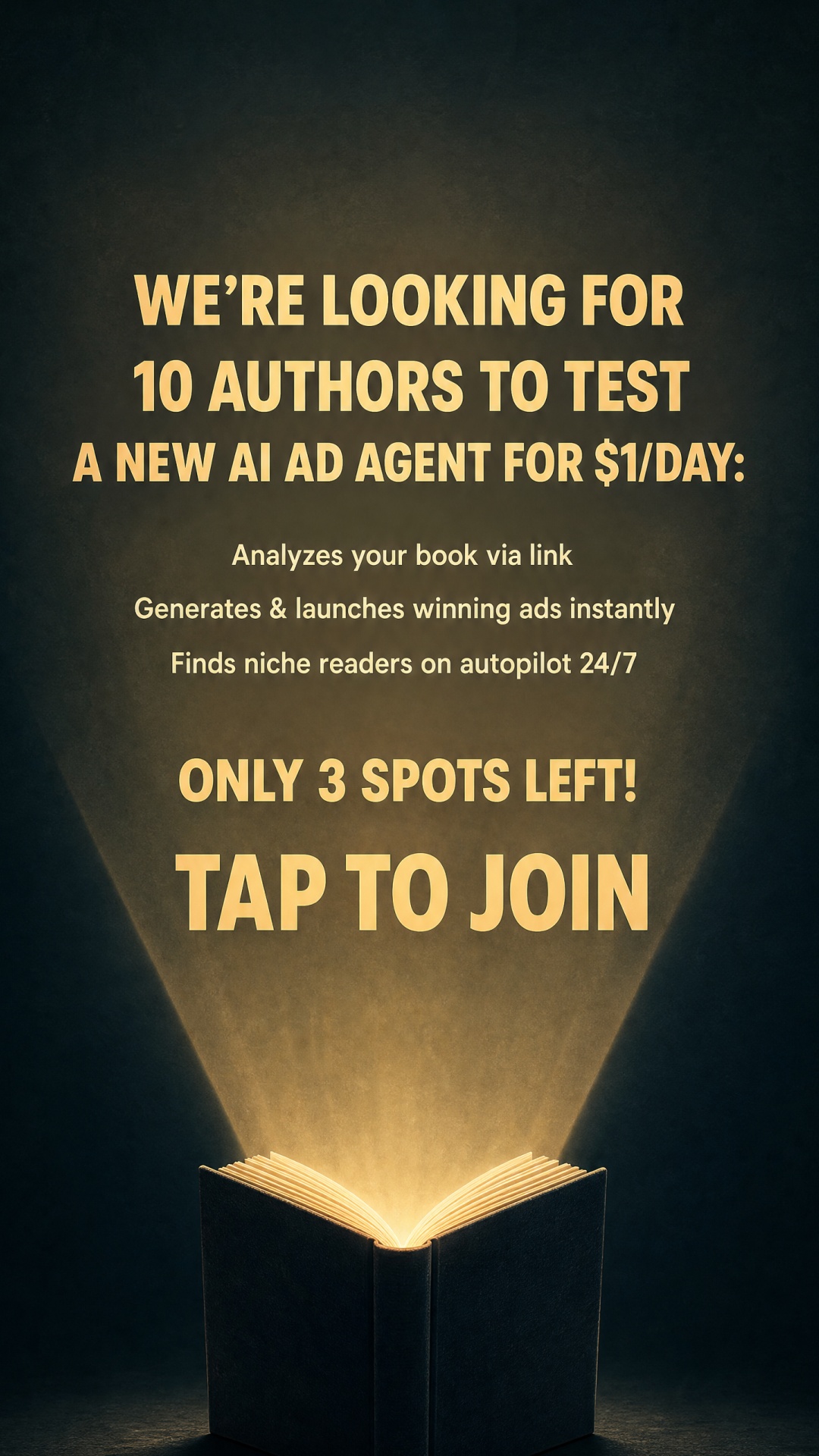 Zeely Facebook ad