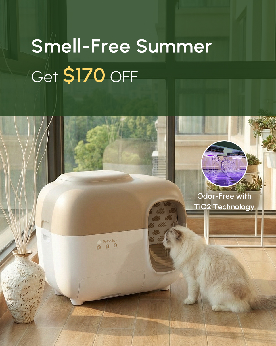 PetSnowy Facebook ad