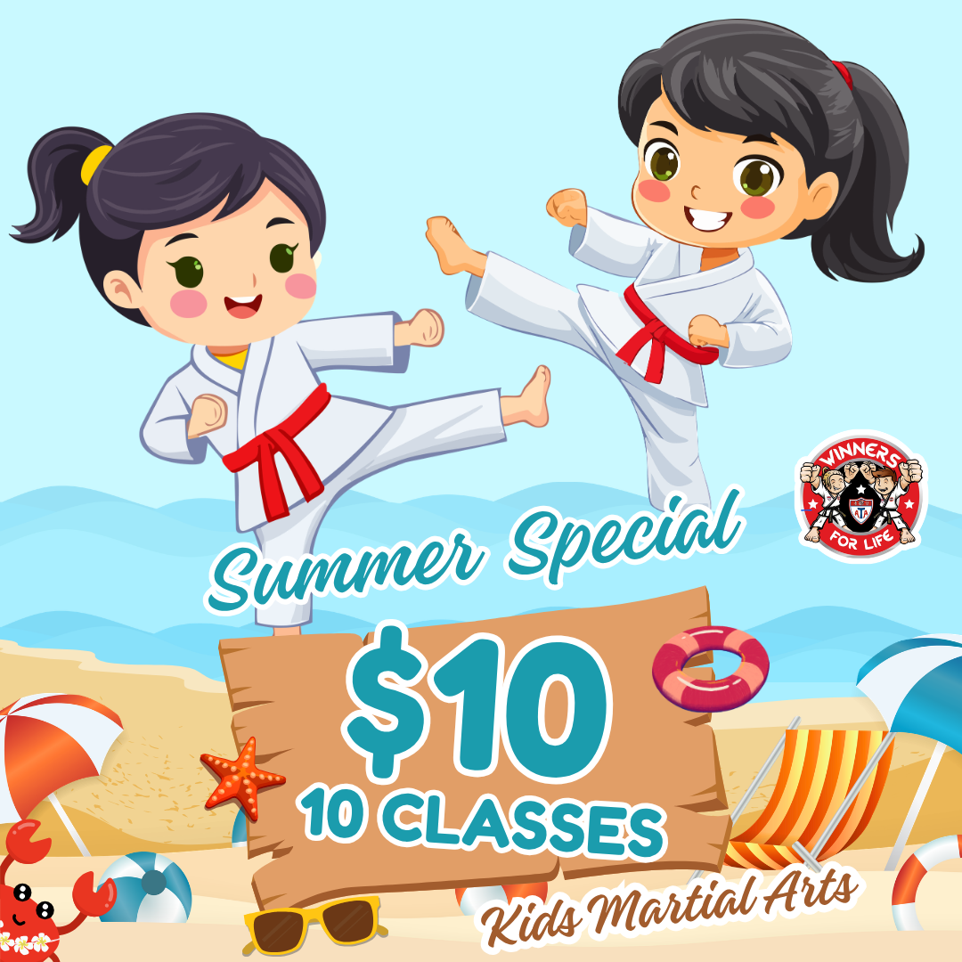 Winners for Life Martial Arts Ballantyne Facebook ad: Confidence & Fun, Only $10!
