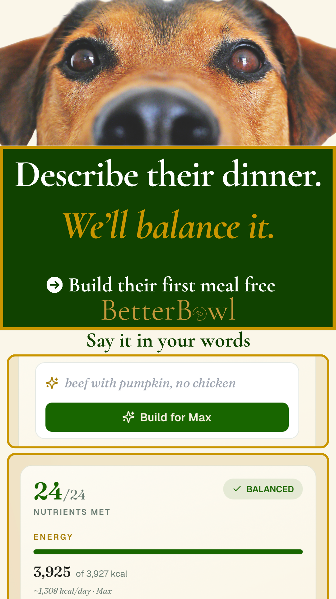 BetterBowl Facebook ad: Describe it, we'll balance it