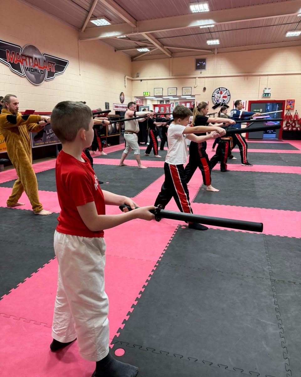 Martial Art World Facebook ad: £20 FOR 2 WEEKS