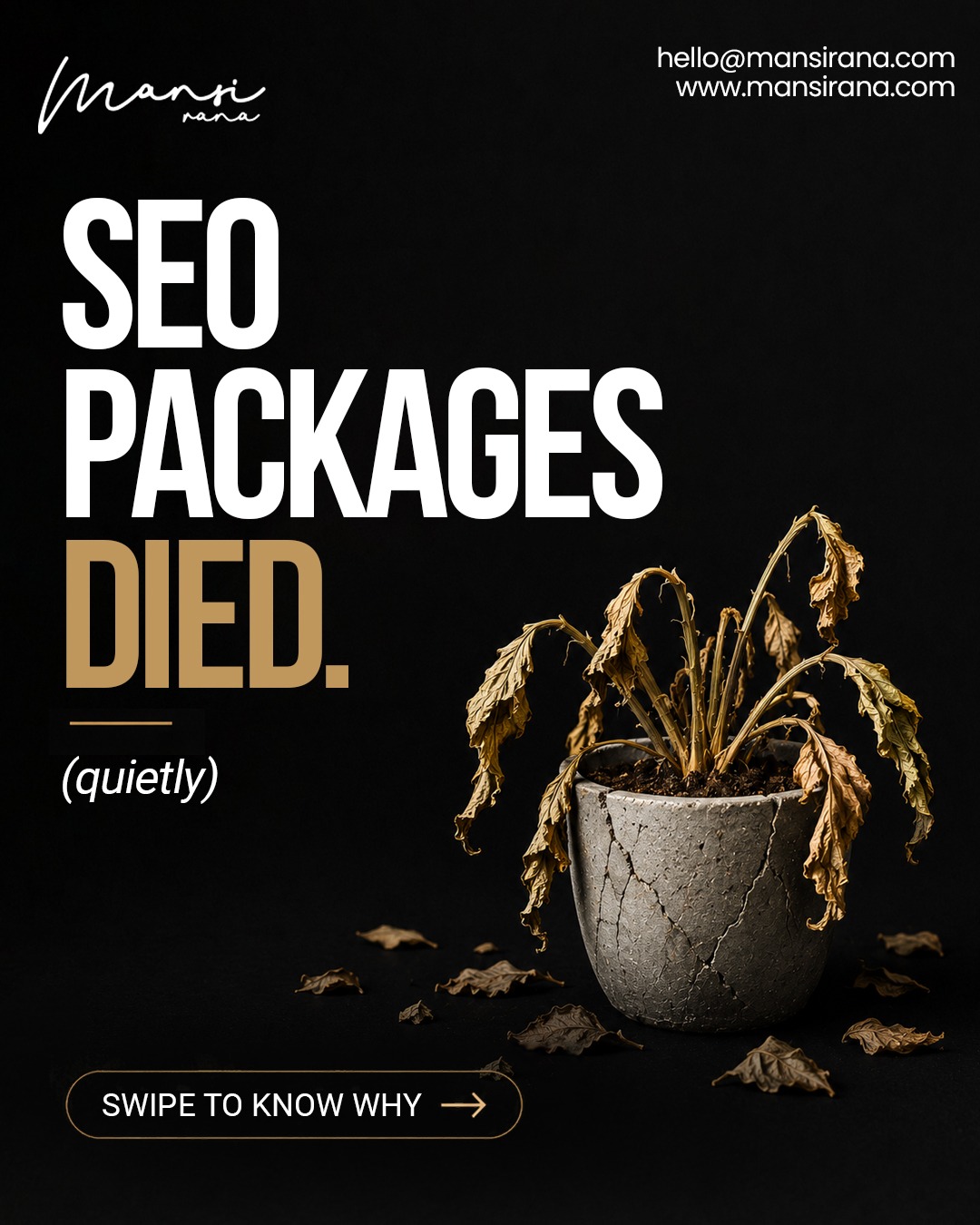 Mansi Rana Facebook ad: SEO packages died.