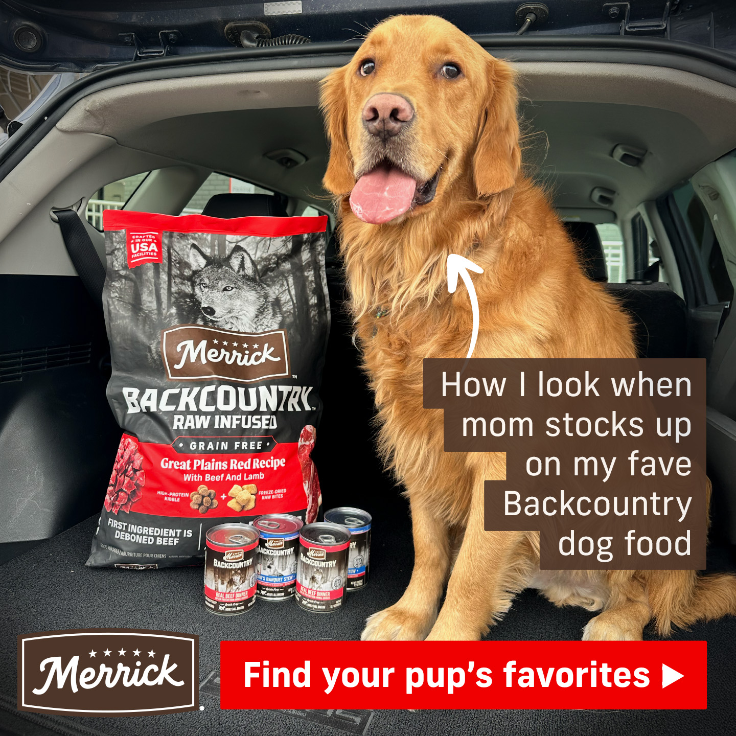 Merrick Pet Care Facebook ad